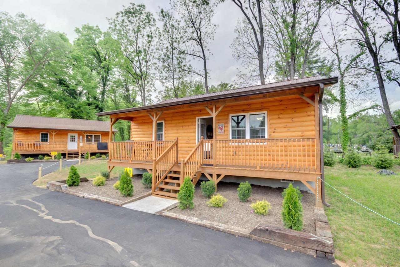 Newly Built Smoky Mountain Cabin Near Bryson City! المظهر الخارجي الصورة